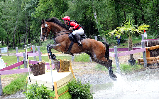 CustomXC - Cross Country Colours Gallery