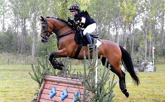 CustomXC - Cross Country Colours Gallery