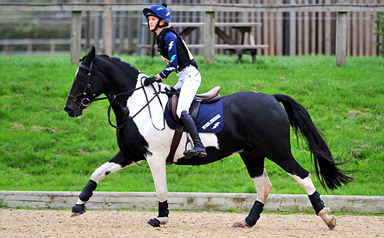 CustomXC - Cross Country Colours Gallery