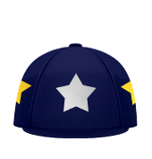 Classic Hat Cover - Navy / Silver / Gold