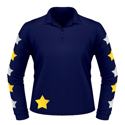 XC Polo - Navy / Gold / Silver