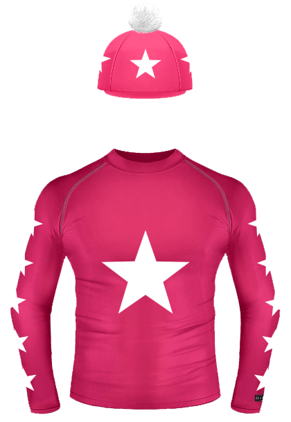 Cross Country Colours Base layer/Silk,Burgundy with Rose Gold Stars 
