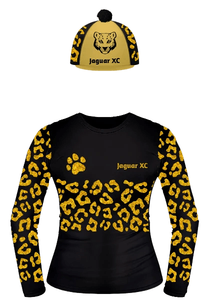 Leopard or jaguar rosettes XC Colours